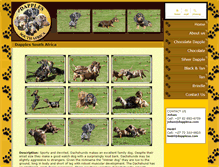 Tablet Screenshot of dapplesa.com